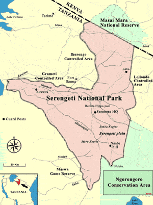 </p><p>Serengeti Milli Parkı