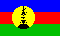 Yeni Caledonia bayrağı