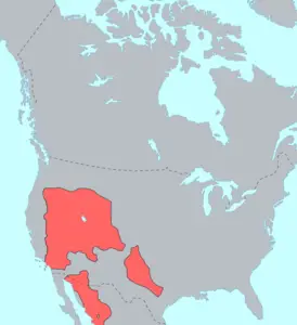 Uto-Aztek Dilleri