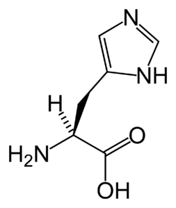 histidin