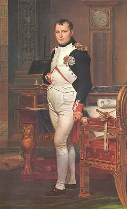 
Napoleon I, Jacques-Louis David'in resmi