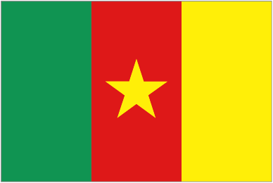 

Kamerun Bayrağı