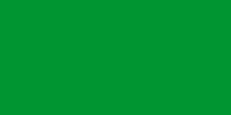 

Yeşil Devrim Bayrağı. Kaddafi döneminde 1977 - 2011 yılları arasında kullanılan, Libya bayrağı tek renkten oluşmakta idi.