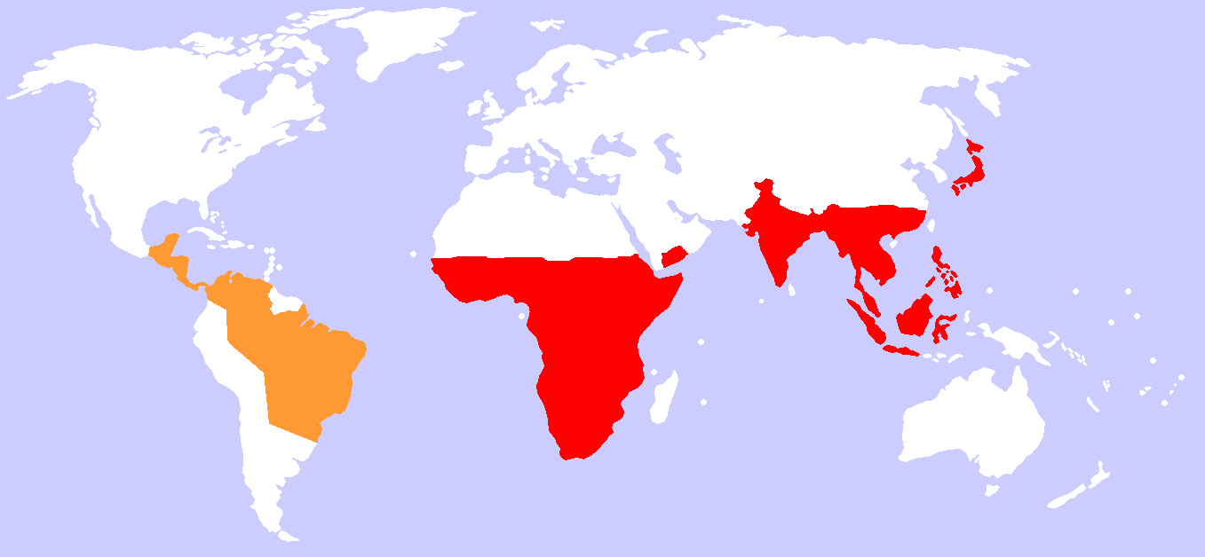 

Maymunların dünya üzerindeki dağılımı