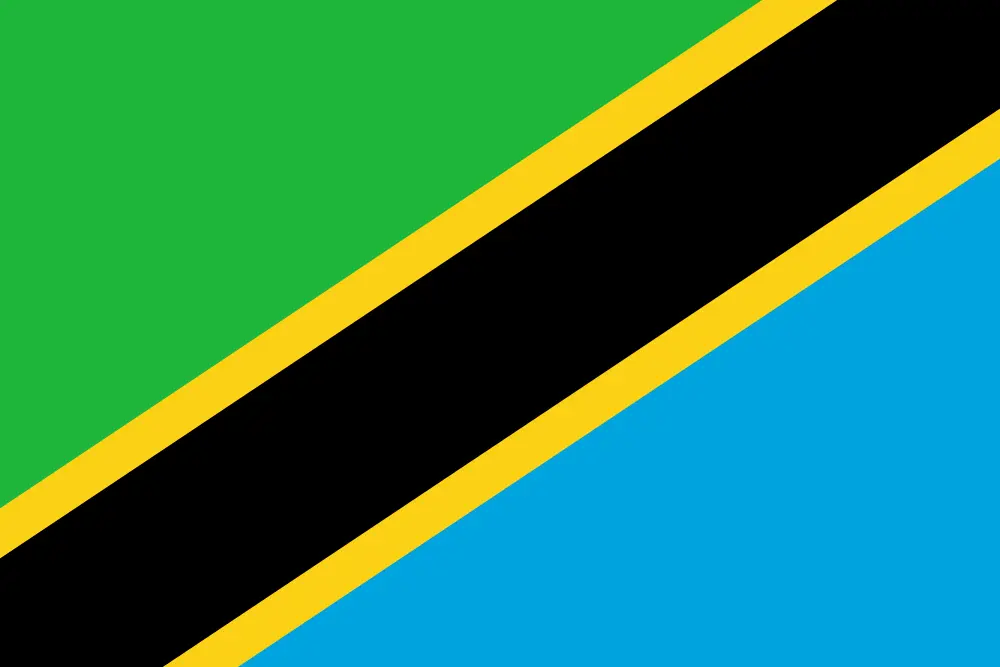 
Tanzanya Bayrağı