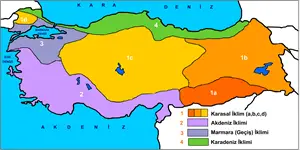 

Türkiye'de görülen iklimler haritası