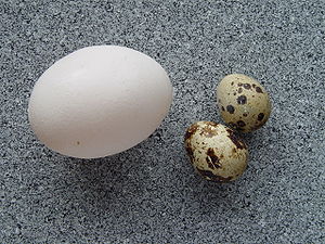 
Tavuk yumurtası ve bıldırcın yumurtaları