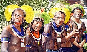 yerli halk