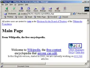 Netscape Navigator - Türkçe Bilgi