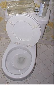 alafranga tuvalet
