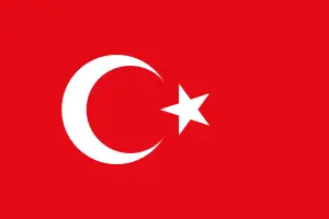 Türk Bayrağı - Türkçe Bilgi