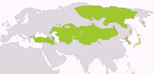 Ural-Altay dil ailesi