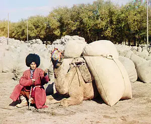 Türkmenler