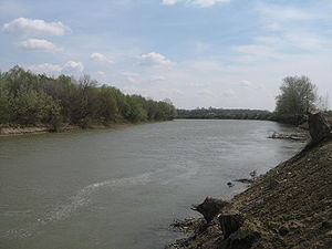Prut Nehri
