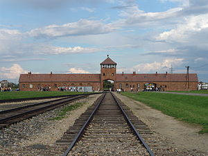 Auschwitz Birkenau toplama kampı