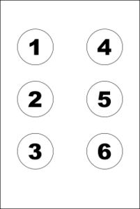 Braille sayıları
