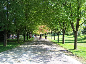 Bursa Botanik Parkı (Soğanlı Parkı)