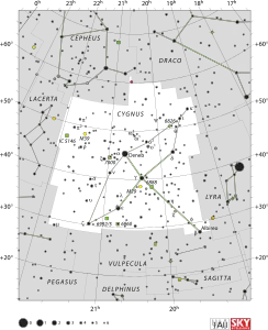 Cygnus Takımyıldızı