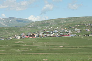 Damal, Ardahan
