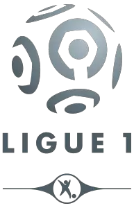 Fransa Birinci Ligi