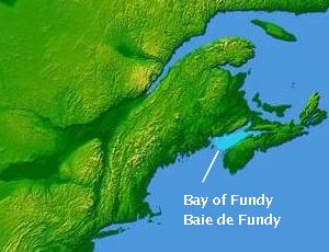 Fundy Körfezi