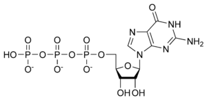 Guanozin trifosfat
