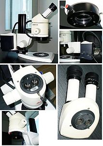 Işık mikroskobu