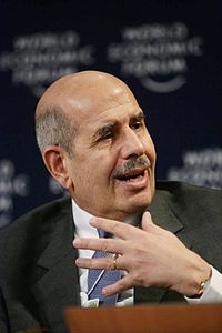 Muhammed El Baradei