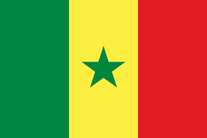 Senegal Millî Basketbol Takımı