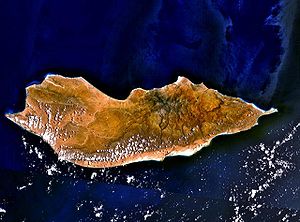 Socotra Adası