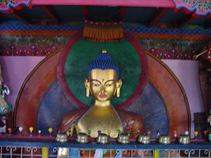 Tibet budizm