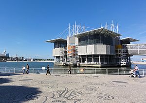 Lizbon Oceanarium