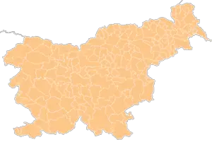 Slovenya'daki şehirler