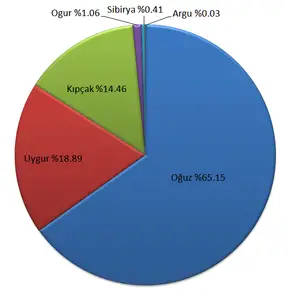 Uygur Grubu Turkce Bilgi