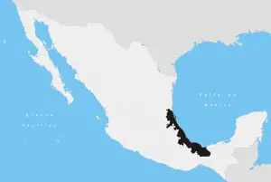 Veracruz (şehir)