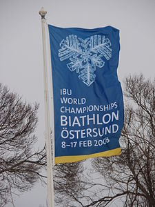 2008 Biatlon Dünya Şampiyonası