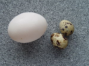 Yumurta (yiyecek)