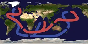 Okyanus bilimi