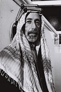 Ali bin Hüseyin (kral)