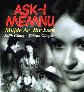 Aşk-ı Memnu (dizi, 1975)