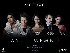 Aşk-ı Memnu (dizi, 2008)