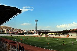 Bozok Stadyumu