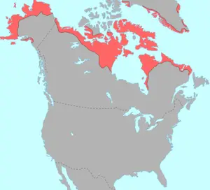 Eskimo - Aleut dilleri