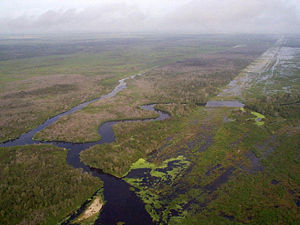 Everglades restorasyonu