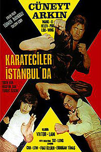 Karateciler İstanbul'da
