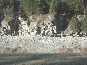 Tortulaşmış kaya