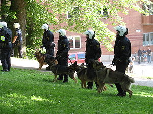 Polis köpekleri