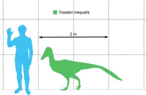 Polyodontosaurus