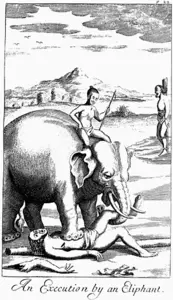 Fil ile idam