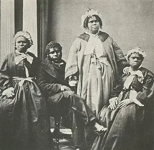 Tasmanya Yerlileri